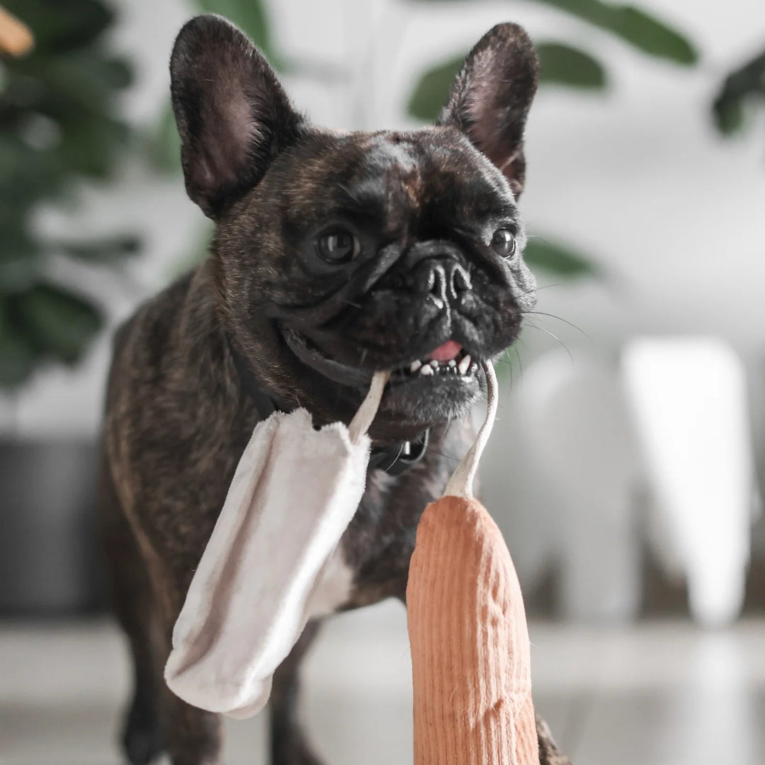 Lambwolf Mini Baguette - HappyPuppy.dk