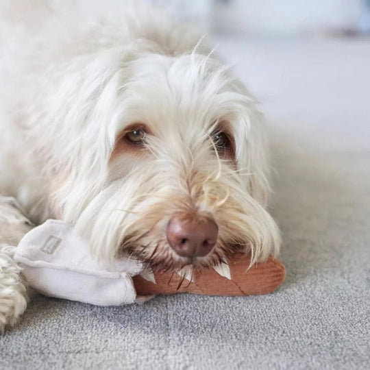 Lambwolf Mini Baguette - HappyPuppy.dk