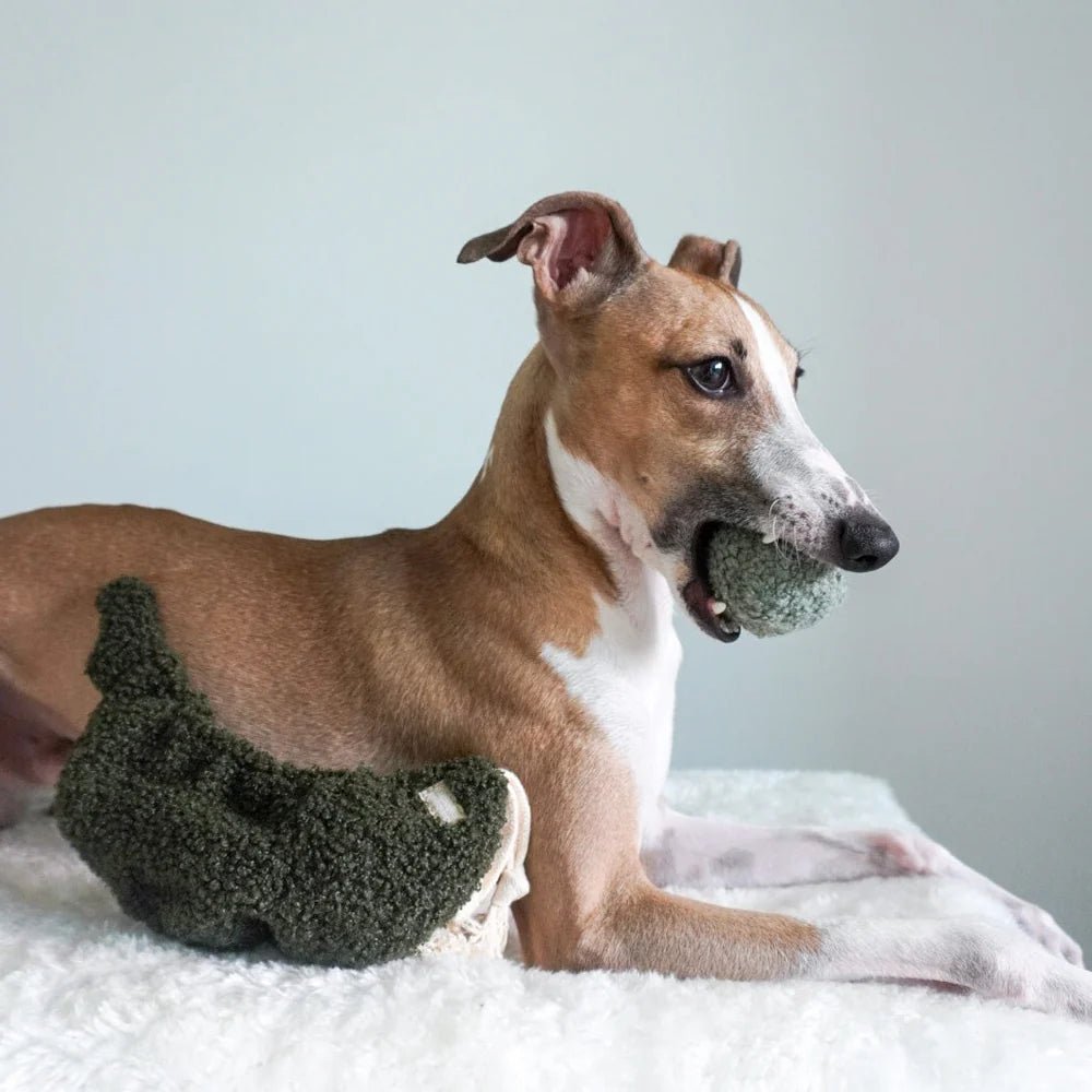 Lambwolf Pea Pop - HappyPuppy.dk