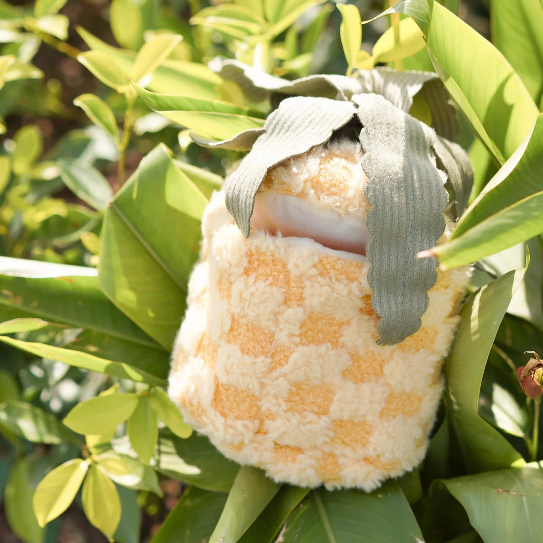 Lambwolf Pineapple Pop - HappyPuppy.dk