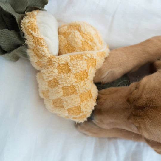 Lambwolf Pineapple Pop - HappyPuppy.dk