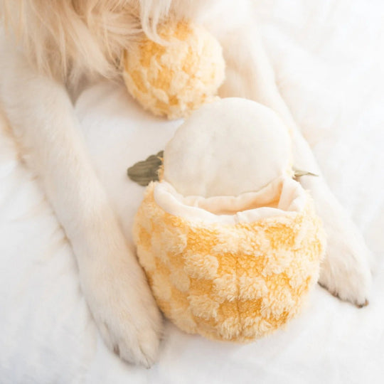 Lambwolf Pineapple Pop - HappyPuppy.dk