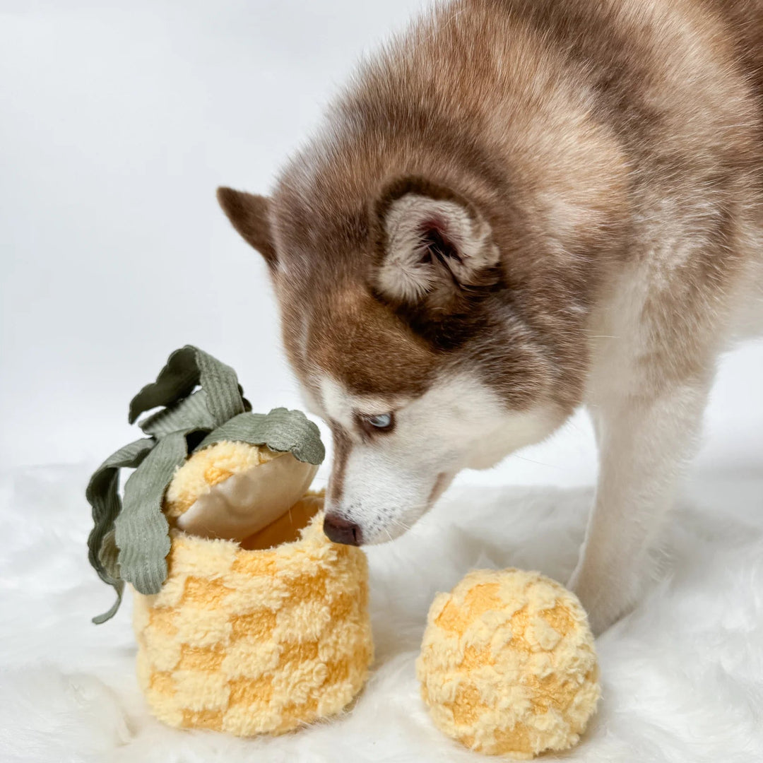 Lambwolf Pineapple Pop - HappyPuppy.dk