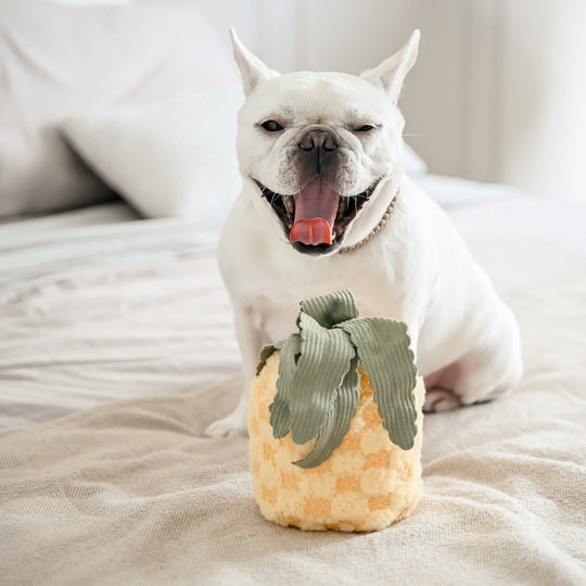 Lambwolf Pineapple Pop - HappyPuppy.dk