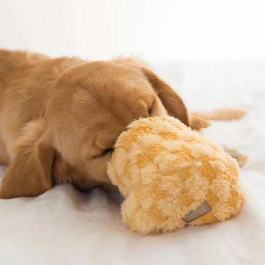 Lambwolf Pineapple Pop - HappyPuppy.dk