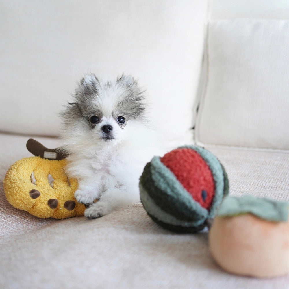 Lambwolf Vandmelon Pop - HappyPuppy.dk
