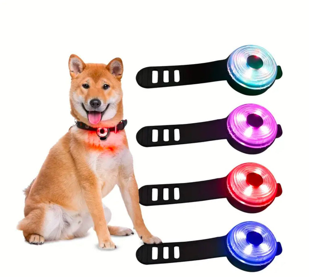 LED Hundelygte 4 - i - 1 - HappyPuppy.dk