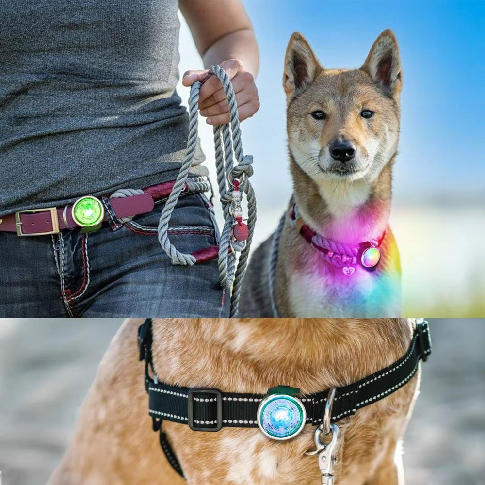 LED Hundelygte 8 - i - 1 Genopladelig - HappyPuppy.dk
