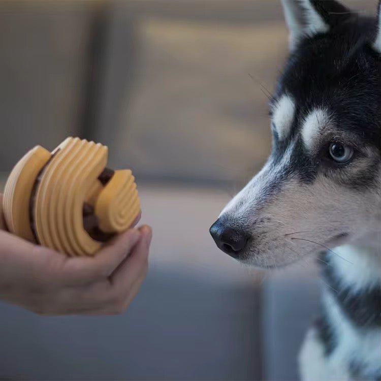 Möbius aktivitetsbold - HappyPuppy.dk