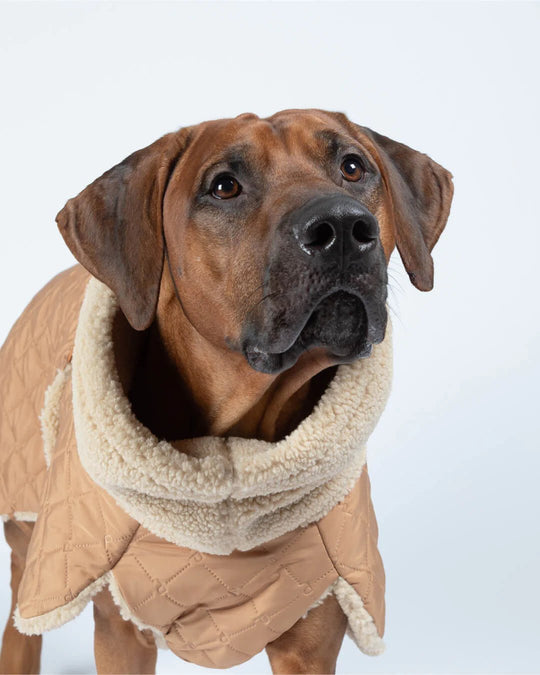 PAIKKA Quilted Sherpa Hundejakke Camel - HappyPuppy.dk