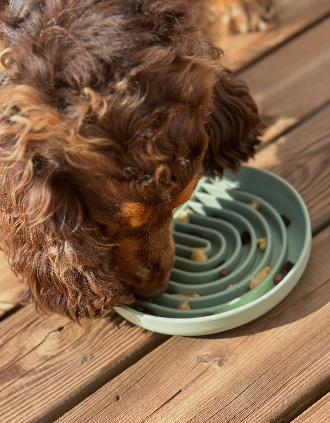 Slowfeeder til hund - HappyPuppy.dk