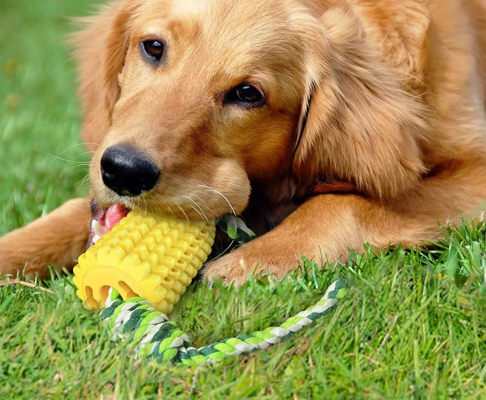 Tandrensende Majskolbe m. piv - HappyPuppy.dk