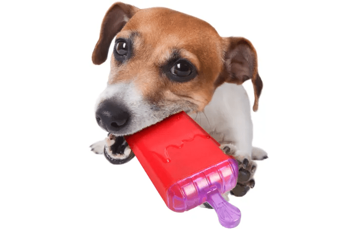 Toy Wael Ice Lolly 16cm - HappyPuppy.dk