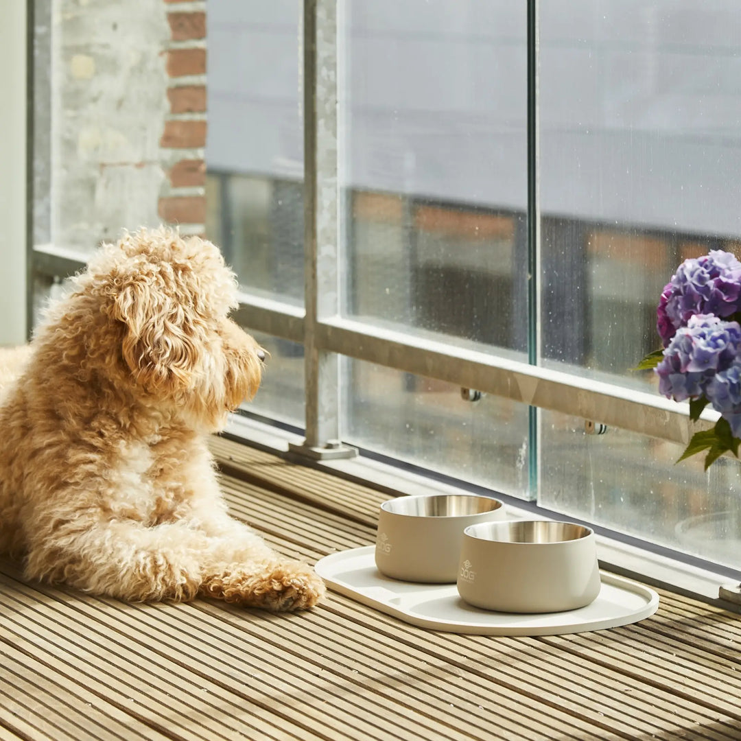 DOG Copenhagen Vega Skål