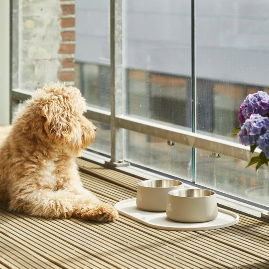 DOG Copenhagen Vega Skål