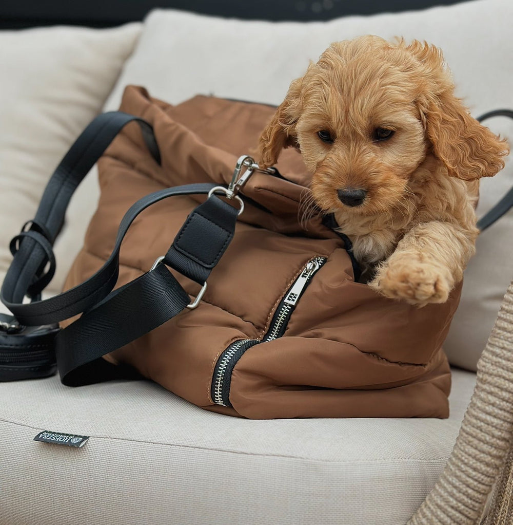 Zenora hundetaske Bergen - HappyPuppy.dk