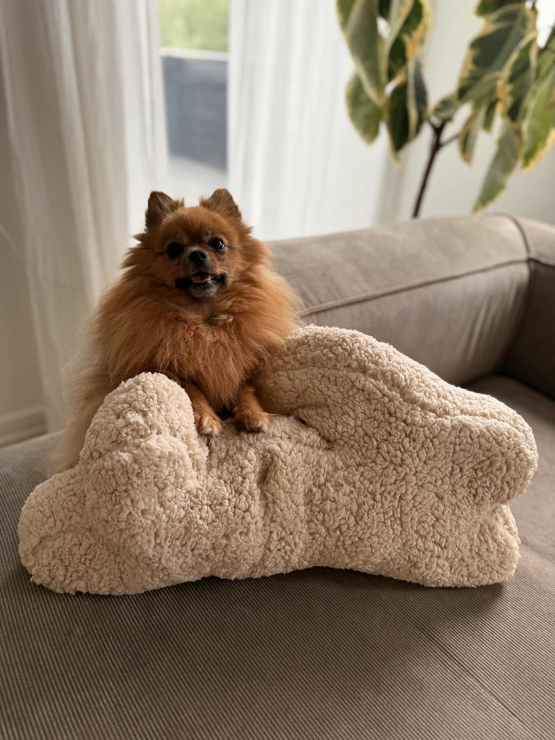 Zenora Kæmpe Kanin - HappyPuppy.dk