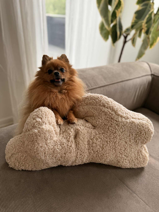 Zenora Kæmpe Kanin - HappyPuppy.dk