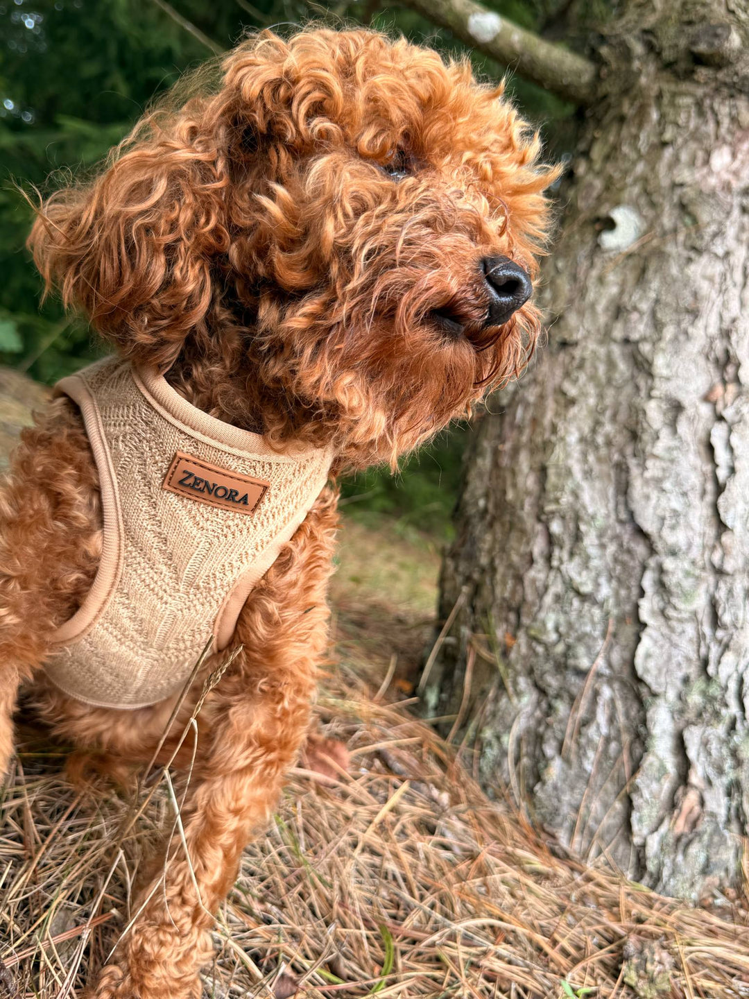 Zenora Magglia Step - in sele - HappyPuppy.dk