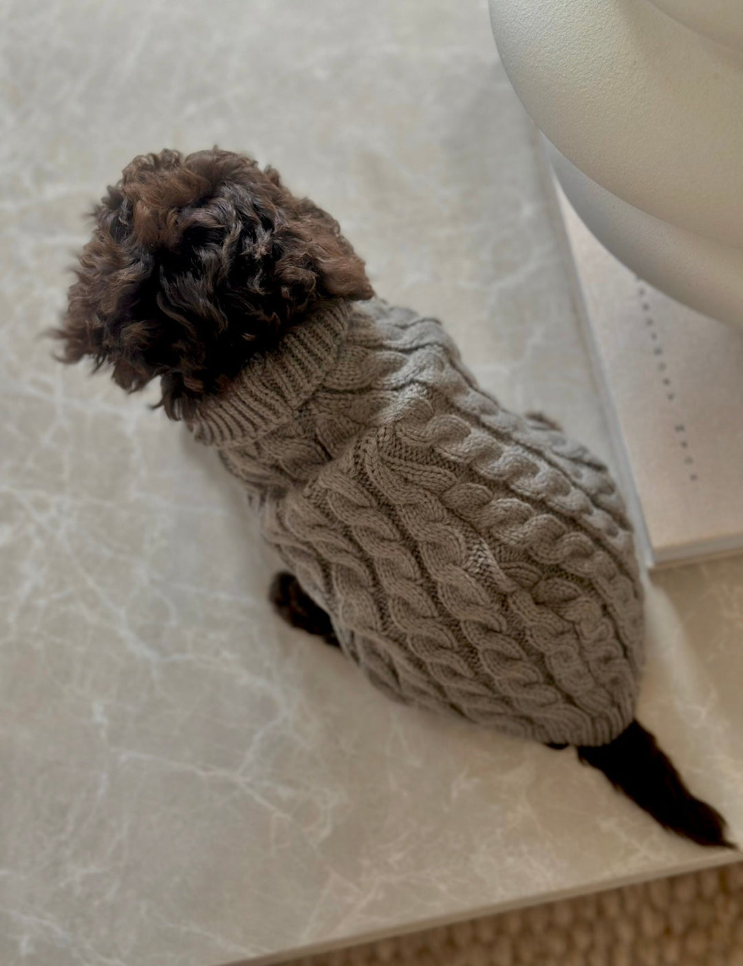 Zenora Striktrøje til hund - HappyPuppy.dk