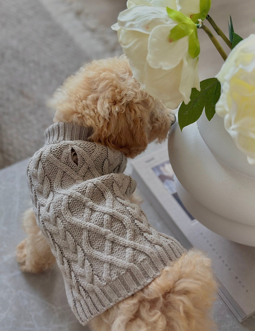 Zenora Striktrøje til hund med snoråbning - HappyPuppy.dk